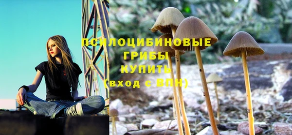 синтетический гашиш Алексин
