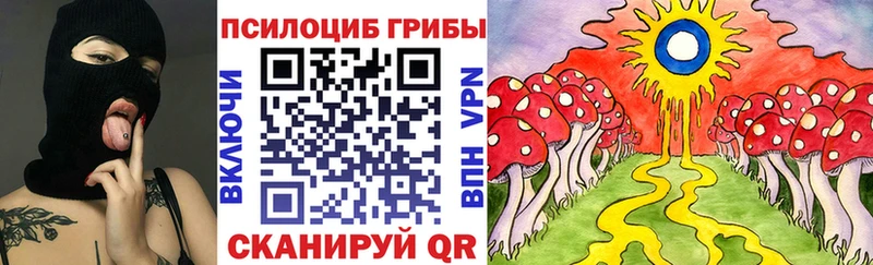 OMG ТОР Берёзовка Псилоцибиновые грибы Psilocybine cubensis цена